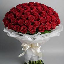 Букет 101 Красная роза Блэк Мэджик в Табачный