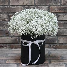 Цветочная композиция из Гипсофила в шляпной коробке в Табачный